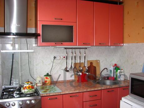 Borispol kent merkezinde temiz bir tek odalı daire kiraladı.