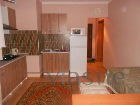Cool apartment in new building, Boryspil - mieszkanie po dobowo