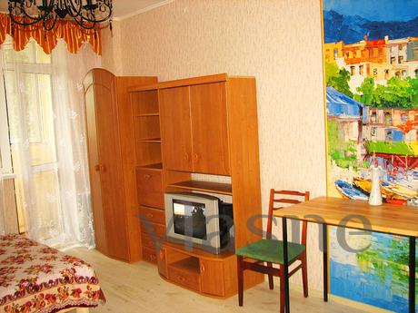 Studio apartment m. Vasilkovskaya, Kyiv - mieszkanie po dobowo