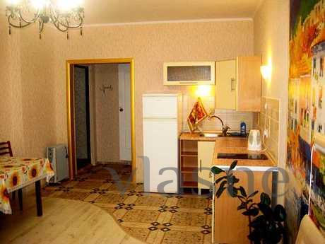 Studio apartment m. Vasilkovskaya, Kyiv - mieszkanie po dobowo