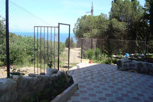 Rent house by the sea in a cypress fores, Alushta - günlük kira için daire