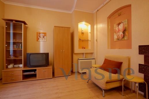 Cozy apartment in the center of Lviv, Lviv - mieszkanie po dobowo
