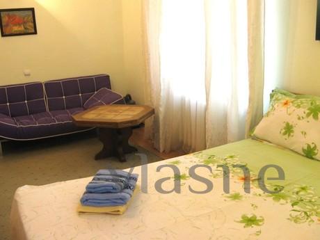 Комфортна затишна квартира.-cтудія, Житомир - квартира подобово