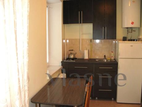 Комфортна затишна квартира.-cтудія, Житомир - квартира подобово