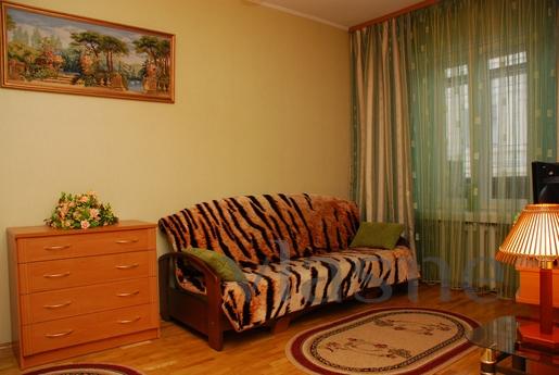Day rent a comfortable one-bedroom apartment with appliances