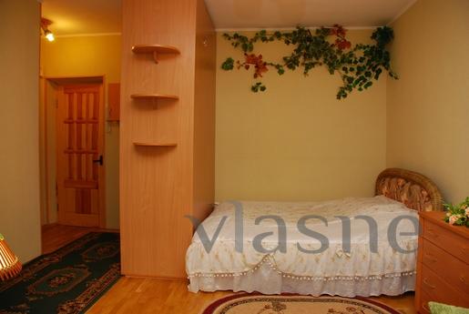 Charming and cozy apartment in the cente, Kyiv - mieszkanie po dobowo