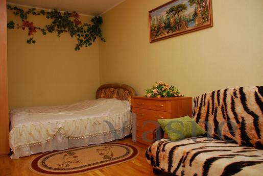 Charming and cozy apartment in the cente, Kyiv - günlük kira için daire