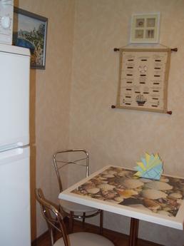 Inexpensive apartment in the heart, Chernihiv - günlük kira için daire
