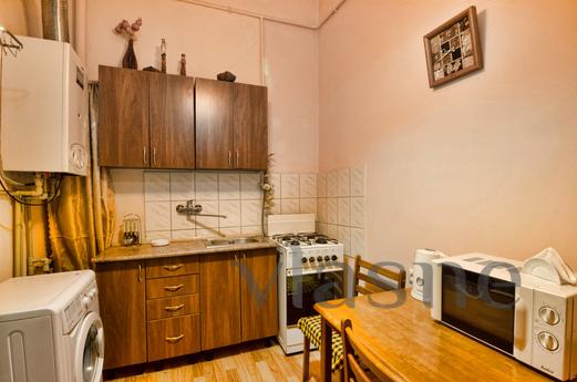 One bedroom apartment in the center, Lviv - günlük kira için daire