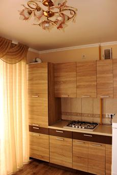 Cozy one bedroom apartment, Rivne - mieszkanie po dobowo