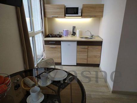Stylish studio apartment for rent in the, Kharkiv - apartment by the day