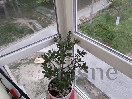 Two-roomed flat, Truskavets - apartment by the day