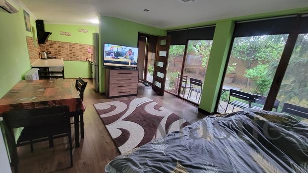 Затишний будинок, Берегово - квартира подобово