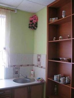 For rent 2 room. city ​​center, Krivoy Rog - günlük kira için daire