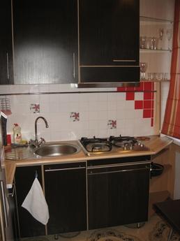 In the center of Petrozavodsk, Petrozavodsk - apartment by the day