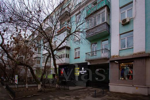 Уютная квартира возле метро Олимпийская, Киев - квартира посуточно