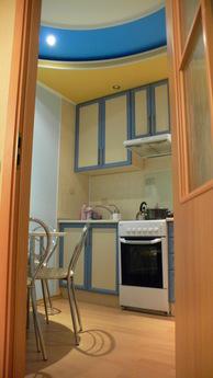 Clean, comfortable apartment, Vinnytsia - mieszkanie po dobowo