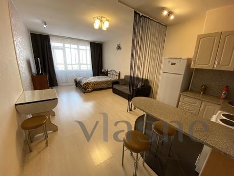 1-room studio apartment near Kholodnaya Gora metro station, 