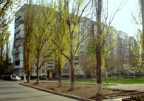 Przytulne mieszkanie w regionie Kijowa, Odessa - mieszkanie po dobowo