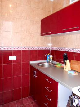 Cozy apartment close to the center, Sumy - günlük kira için daire