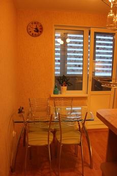 Comfortable, modern apartment, Saint Petersburg - apartment by the day