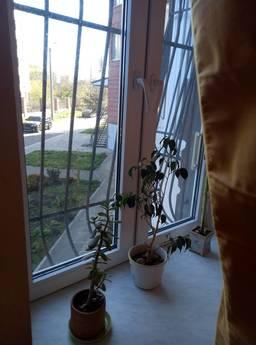 Apartment by the day, Chernomorsk, Chernomorsk (Illichivsk) - apartment by the day