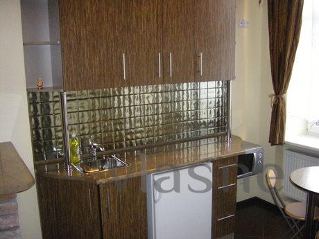 Comfortable apartment, Shevchenko, Lviv - günlük kira için daire