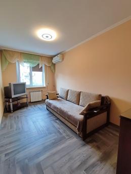 Cozy 2k BC Tower, Yuzhny railway, Kyiv - apartment by the day