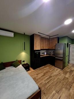 Green hours in the center of Ireland, Krivoy Rog - günlük kira için daire