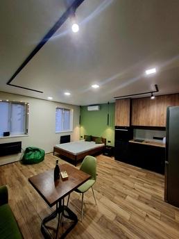 Green hours in the center of Ireland, Krivoy Rog - günlük kira için daire