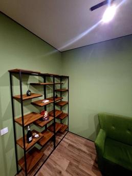 Green hours in the center of Ireland, Krivoy Rog - günlük kira için daire