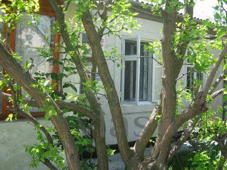 I rent one, 2, 3, 4-bed room in a private home in Theodosia.