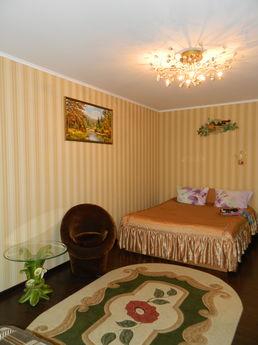 Comfortable apartment in a convenient lo, Vinnytsia - mieszkanie po dobowo