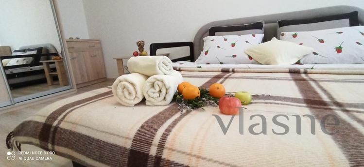 Comfortable apartment with a pleasant au, Kyiv - apartment by the day