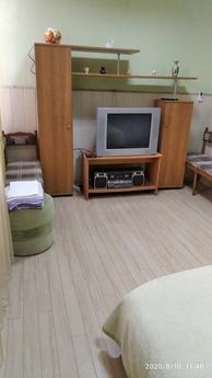 Rent 1k apartment center for daily rent, Dnipro (Dnipropetrovsk) - mieszkanie po dobowo