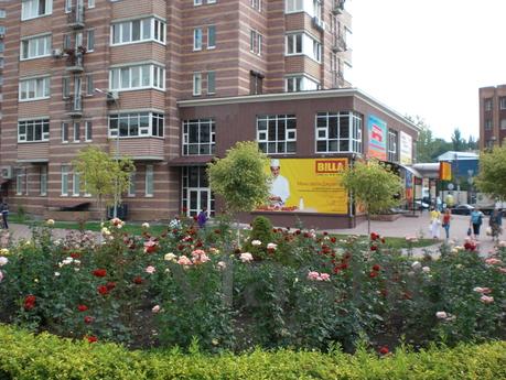 Center, 1 . The bus station, all, Kyiv - mieszkanie po dobowo