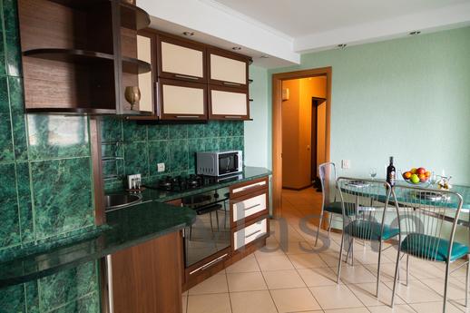 Spacious comfortable 1 room apartment, Vinnytsia - günlük kira için daire