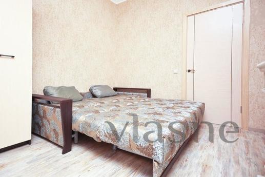 One bedroom studio apartment in the cent, Moscow - günlük kira için daire