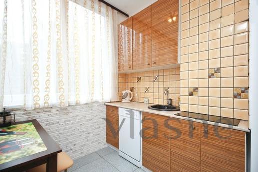 One bedroom studio apartment in the cent, Moscow - günlük kira için daire