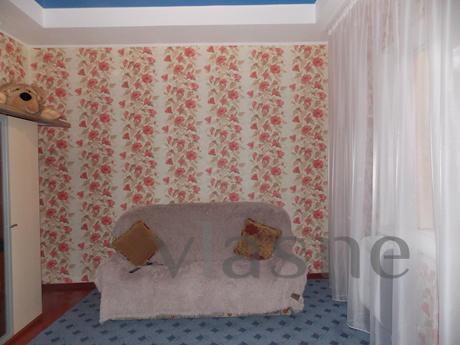1-roomed apartment with spacious rooms in excellent conditio