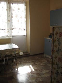 1 bedroom apartment in Shchelkovo, Shchyolkovo - günlük kira için daire
