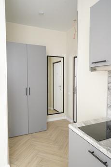Species studio apartment in a new reside, Kyiv - apartment by the day