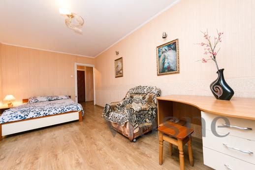 Well-kept, clean apartment near metro st, Kyiv - mieszkanie po dobowo