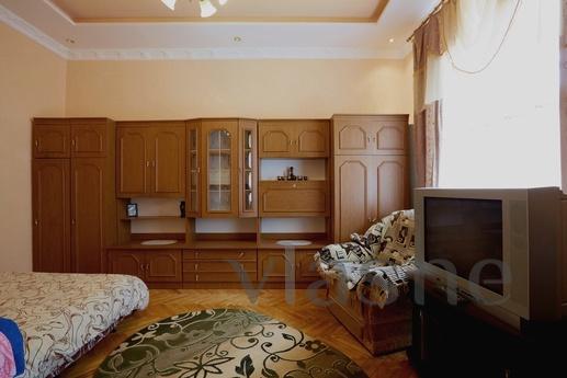 Very comfortable, spacious and bright studio apartment in th