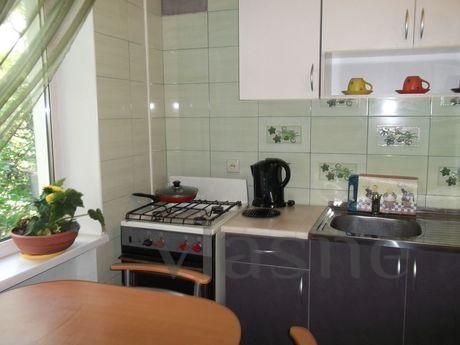 Cozy apartment near the Dnieper River, Zaporizhzhia - apartment by the day