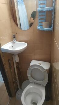 I am looking for an apartment for rent in the center of Odessa, Odessa - günlük kira için daire