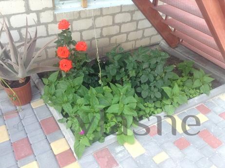Мини отель в центре Бердянска, Бердянск - квартира посуточно