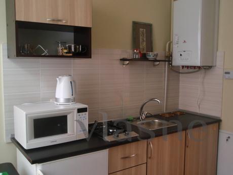 Daily, hourly, weekly rentals, Lviv - apartment by the day