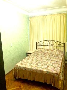 Cozy apartment in an elegant setting, Saint Petersburg - günlük kira için daire