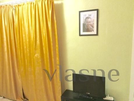 Cozy apartment in an elegant setting, Saint Petersburg - günlük kira için daire